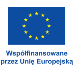 „Ile numeryczności w codzienności?” – podsumowanie działań upowszechniających projekt „Numeracy in Practice”